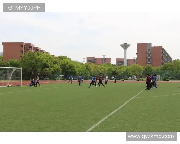 武汉飞盘队速度表现分析与提升策略探讨 武汉飞盘队速度表现分析与提升策略探讨