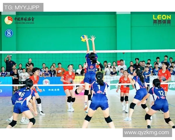 北京排球队技术变革引发热议探索新时代排球竞技新风尚