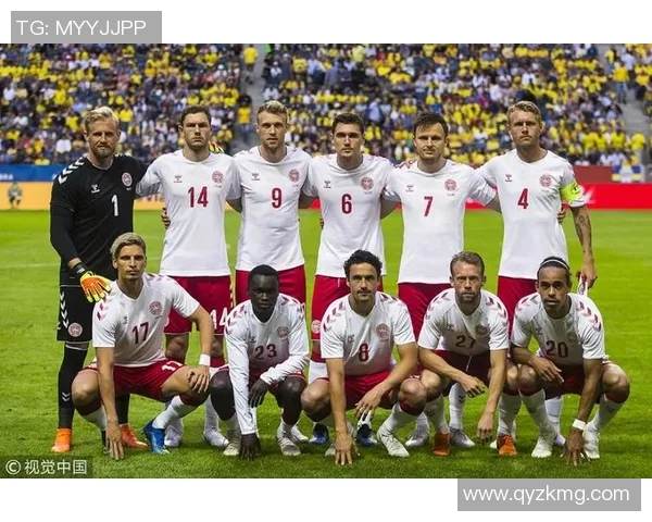 瑞典与丹麦足球实力对比谁更具竞争优势分析